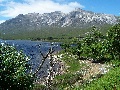 (5) The graceful curves of Beinn Eighe's quartzite ridge, seen from Loch Clair in June. Close to, though, the top is a similar jumble of sharp-edged rocks to the previous photo!