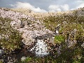 (14) Stream flowing over quartzite rock, on the steep western slopes between Beinn Liath Mhòr and Sgorr nan Lochan Uaine:  here the quartzite has a pinker hue.  Quartzite seems to give extra clarity to the water.