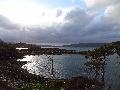 (18) Bays off the Dubh-Àird, near Annat on the south shore of the Upper Loch, looking west. April.