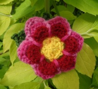 Petal power
