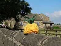 Pineapple tea cosy