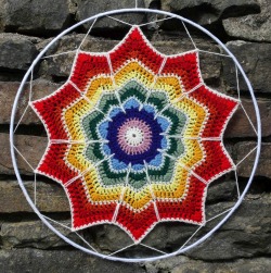 Rainbow Posy