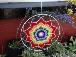 Rainbow Posy