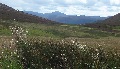 
	On the edge of somewhat wilder ground, looking to Mount Keen
	