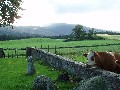 
	The view of Morven from the cemetry adjacent to the stone.
	