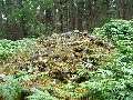 
	  The cairn (?) inside the stone-circle area
	