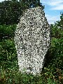 
	The Pictish cross slab at Loch Kinnord
	