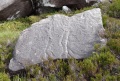 
	Folds in the sandstone?
	