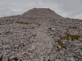 
	Looking up the quartzite ridge:  easier walking than it looks!
	