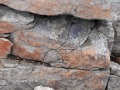 
	Colours and textures in the summit rocks, with purple lichen
	