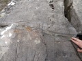 
	Ash layers?
	