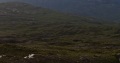 
	A bit further west around Coire a Cheud Chnoc, this time in the
		evening. 
	