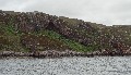 
	Church Cave from the sea.  The ropeway can be seen in the brackeny
	gulley high on the left
	