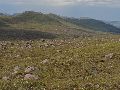 Srath Lungard (lower):  Talladale gorge backed by Meallan Garbhaig