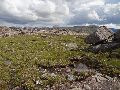 Sandy peat and sandstone boulders on the shoulder