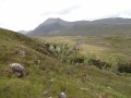 Subsidiary falls, in context