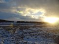 Getting wilder, and colder, but still with plantations, ditches, etc.