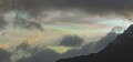 ...plus strong greens and a luminous greyish blue (on the right) which we've never seen before... 