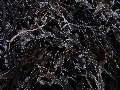 Frosted seaweed