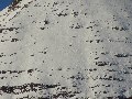 Indentations in the snow on Sgùrr Mhòr