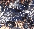 Ice on the paths