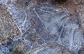 Ice on the paths