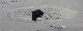 ...and further out - what's this - water on top of ice, in the sea?!