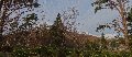 Winter clarifies the mountainous backdrop of Torridon House:  all three summits of Beinn Alligin, snow-covered, can be seen through the trees