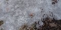 Some of the more intricate ice patterns
