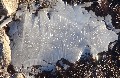 More path ice