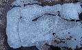 More path ice