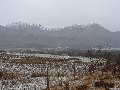 On our way to the junction:  snow settling on the fields and the wide expanse of beach and saltmarsh at the head of the loch