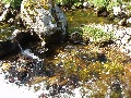 ..and clear water