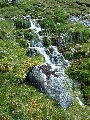 Mossy mountain stream:  Allt a' Choinne' Mhill, which 
		becomes the River Traligill lower down, even at which point
		it's not coming directly from the Bealach Traligill.