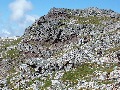 Nearer the top of the valley:  intrusions of trachytes