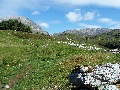 Limestone, above Glenbain