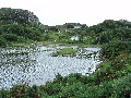On the way back to Inverkirkaig - Loch Culag
